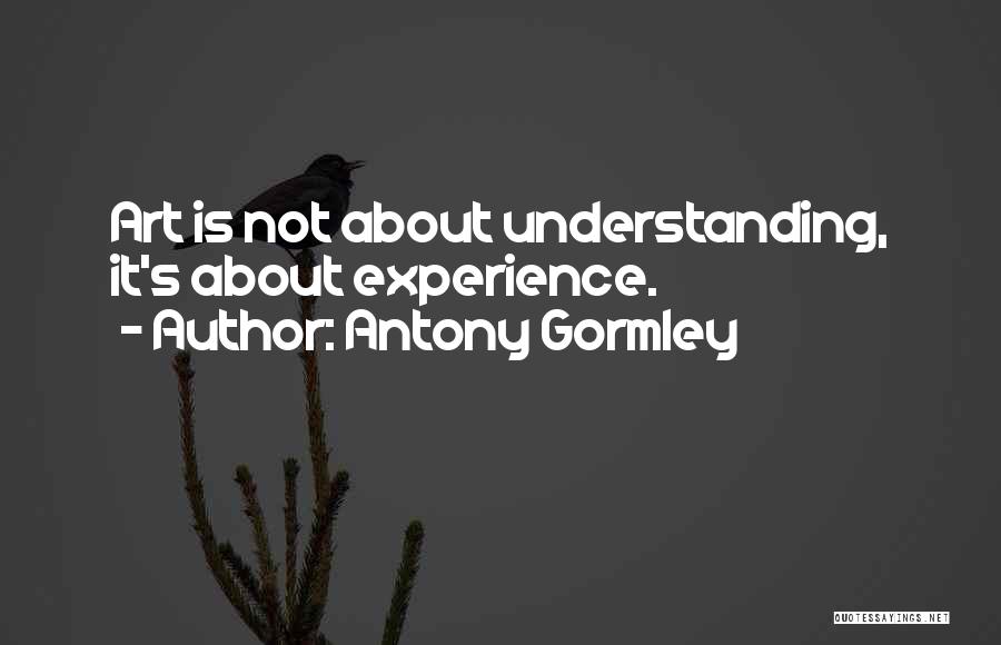 Antony Gormley Quotes 2168579