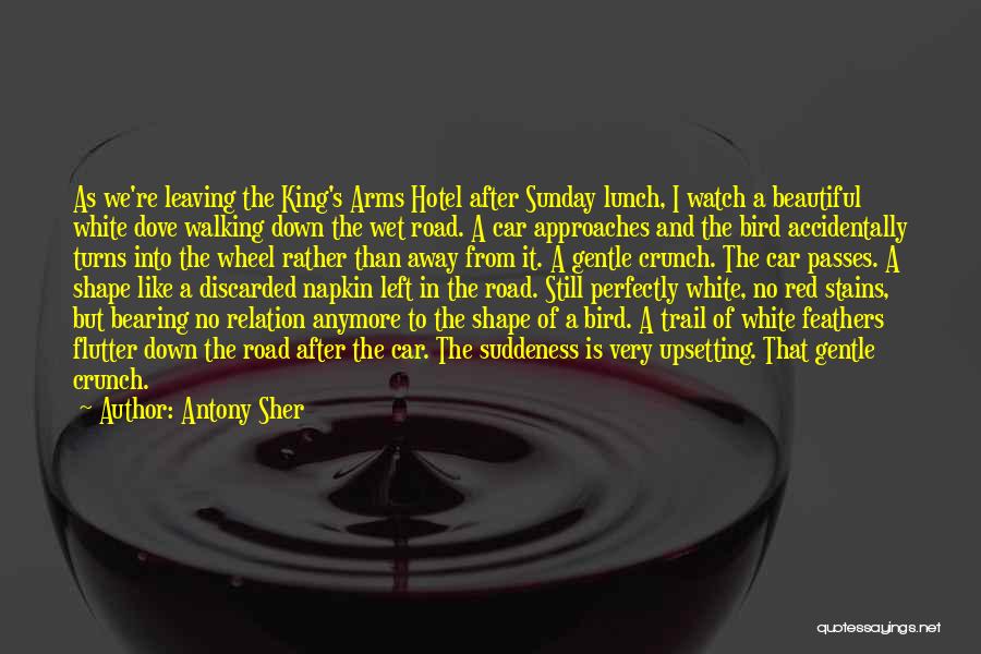 Antony Sher Quotes 385566