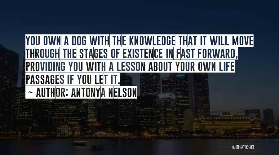 Antonya Nelson Quotes 975008