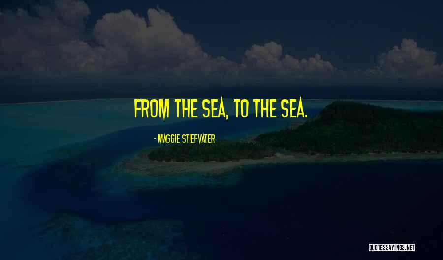 Antreas Hindoyan Quotes By Maggie Stiefvater Antreas Hindoyan Quotes By Maggie Stiefvater