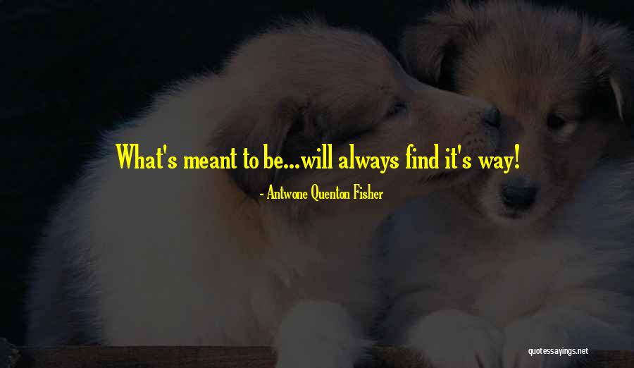 Antwone Quenton Fisher Quotes 1444946 Antwone Quenton Fisher Quotes 1444946