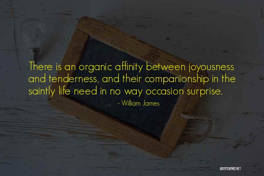 Antworten Imperativ Quotes By William James Antworten Imperativ Quotes By William James