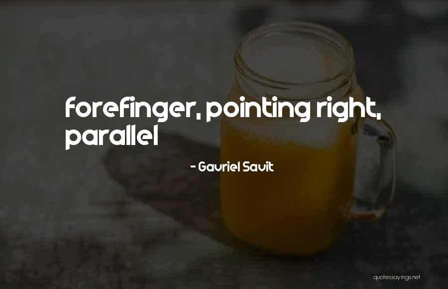 Antzelina Tzoli Quotes By Gavriel Savit