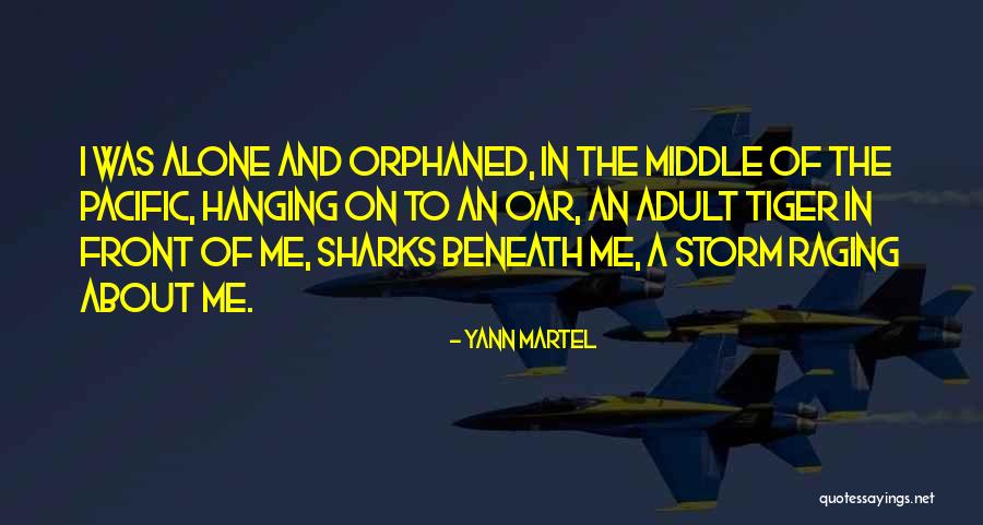 Anulekha Resort Quotes By Yann Martel Anulekha Resort Quotes By Yann Martel