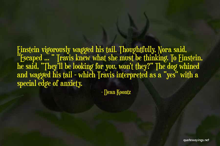 Anxiety As Quotes By Dean Koontz Anxiety As Quotes By Dean Koontz