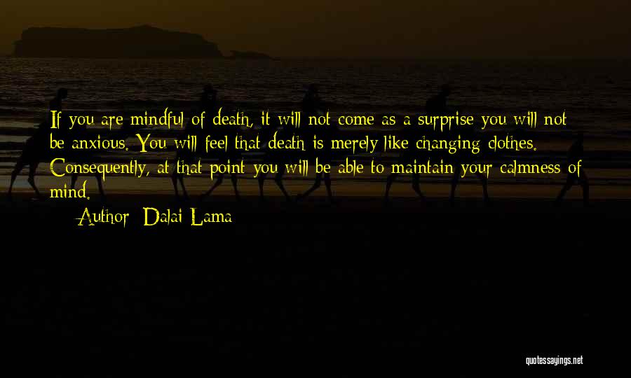 Anxious Mind Quotes By Dalai Lama