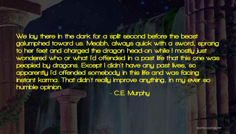 Any Beast Quotes By C.E. Murphy Any Beast Quotes By C.E. Murphy