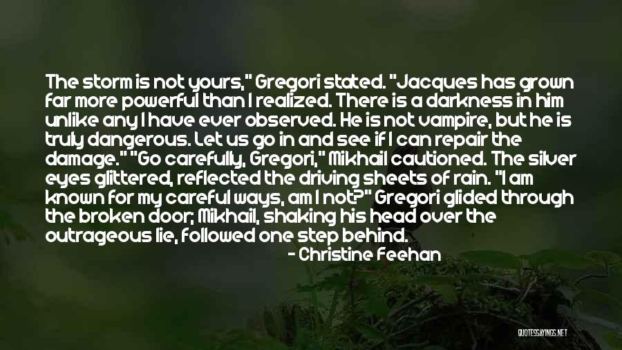 Any Damage Quotes By Christine Feehan Any Damage Quotes By Christine Feehan