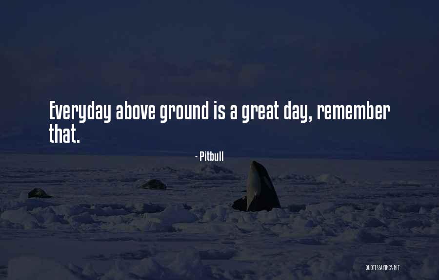 Any Day Above Ground Quotes By Pitbull