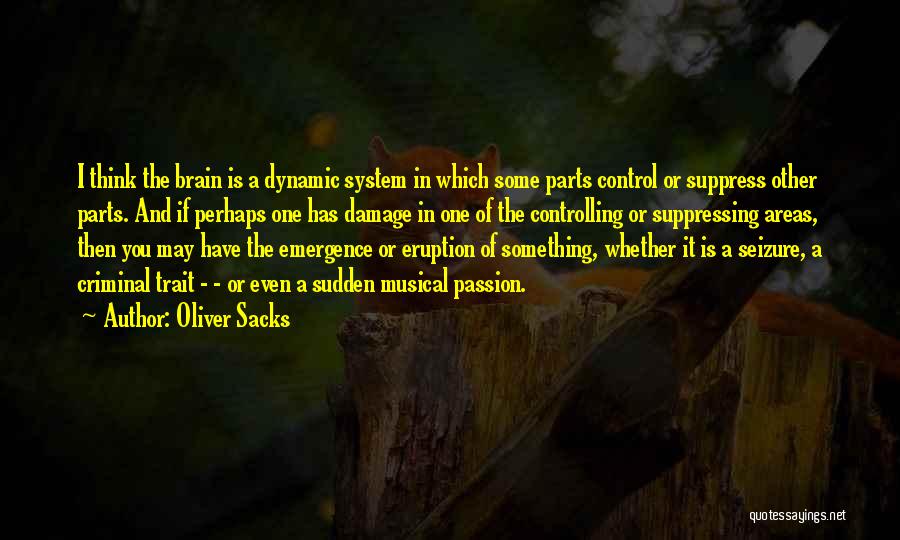 Any Seizure Quotes By Oliver Sacks