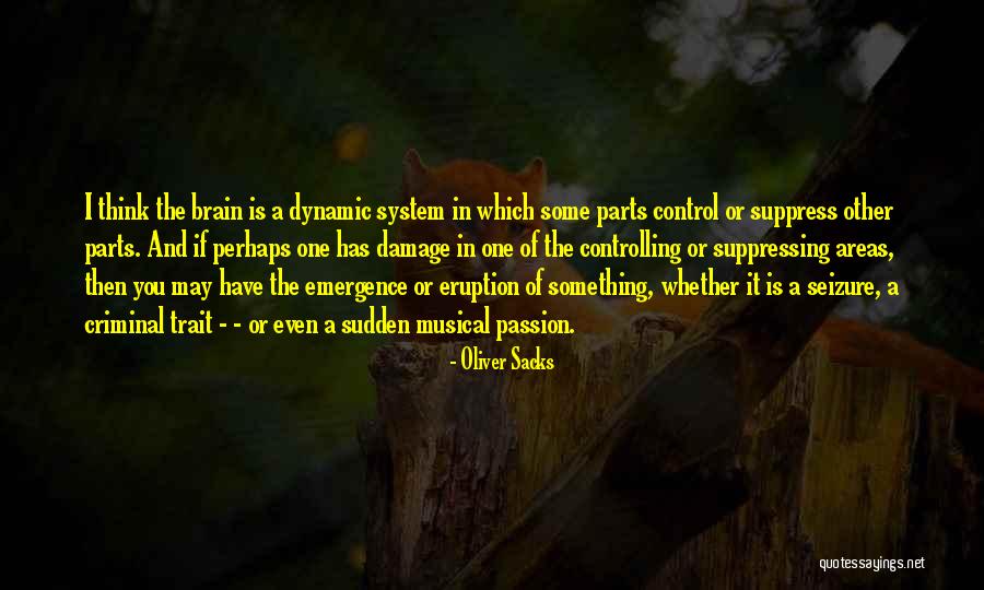 Any Seizure Quotes By Oliver Sacks Any Seizure Quotes By Oliver Sacks