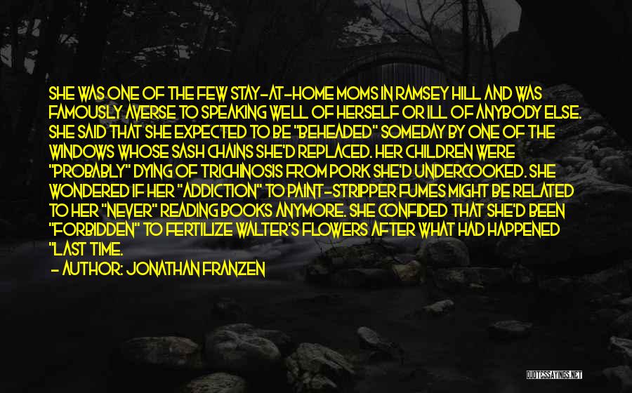 Anybody Home Quotes By Jonathan Franzen