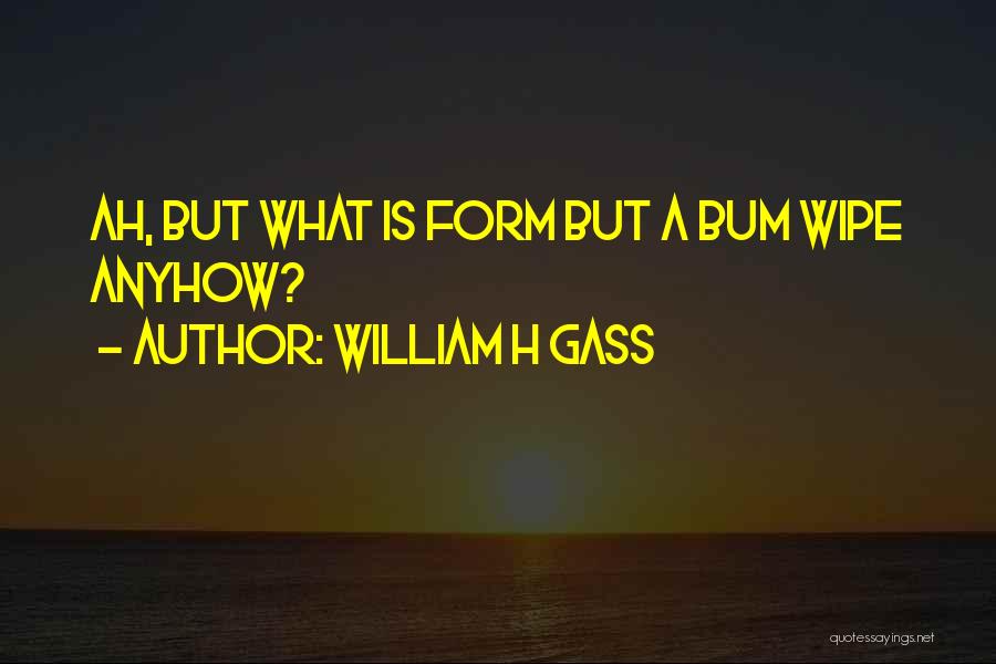 Anyhow Quotes By William H Gass