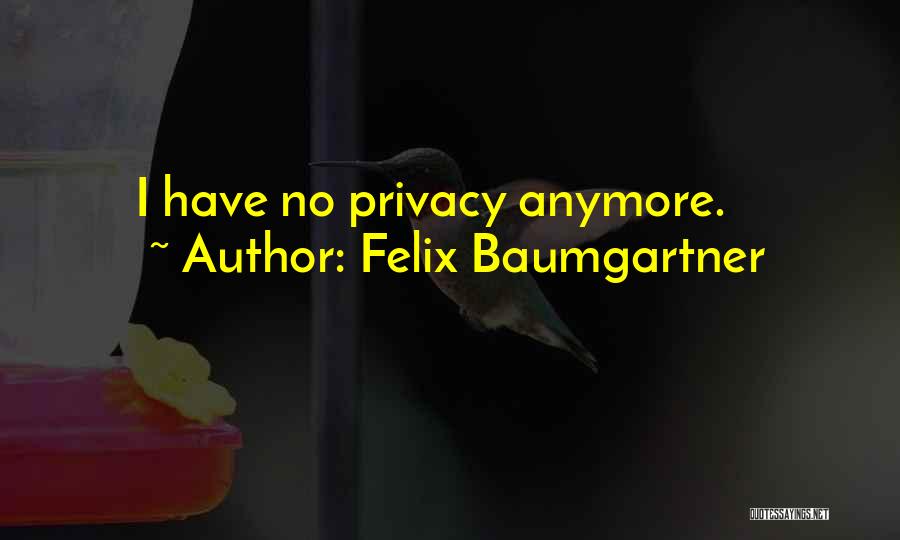 Anymore Quotes By Felix Baumgartner