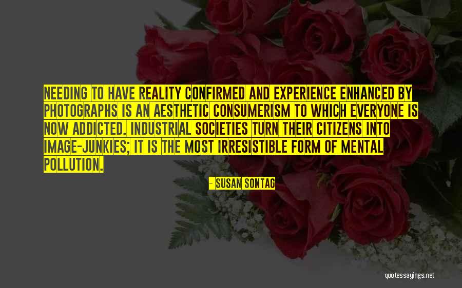 Anypoint Cloudhub Quotes By Susan Sontag Anypoint Cloudhub Quotes By Susan Sontag