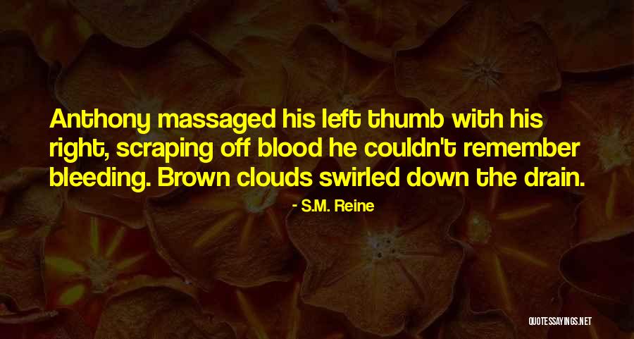 Anyteen Quotes By S.M. Reine Anyteen Quotes By S.M. Reine