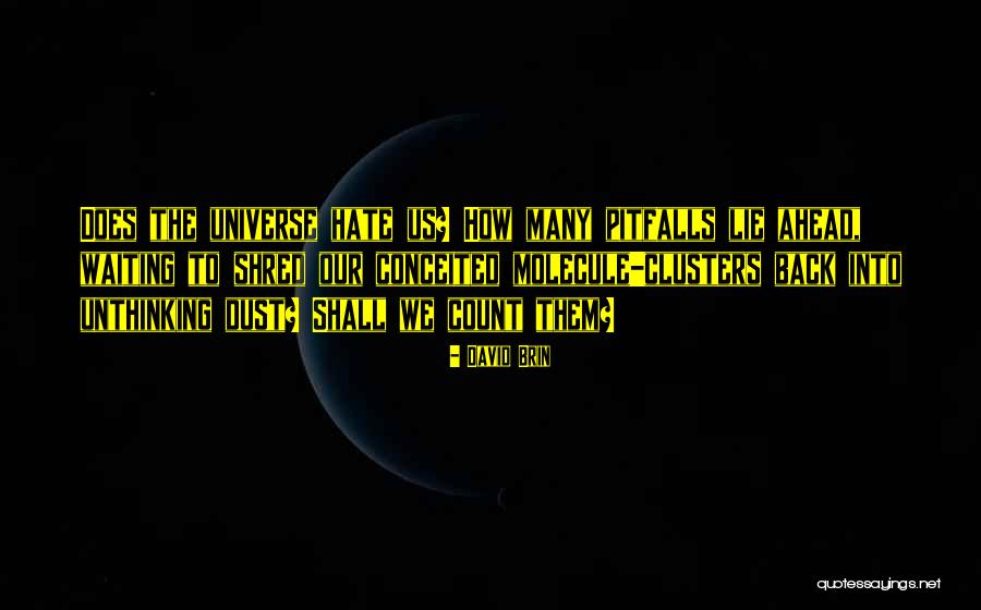 Anythin Quotes By David Brin Anythin Quotes By David Brin