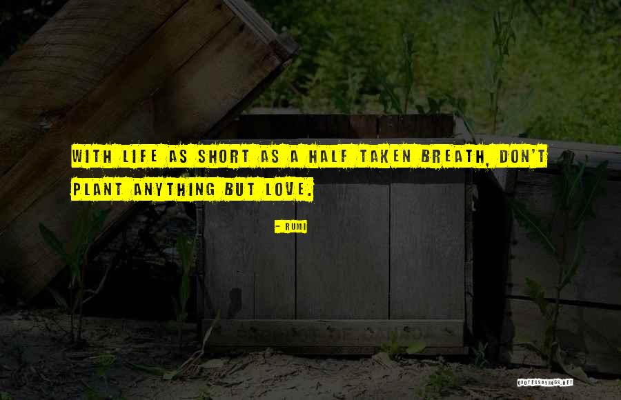 Anything But Love Quotes By Rumi Anything But Love Quotes By Rumi