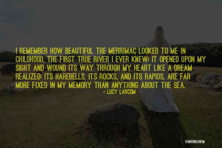 Anything Can Be Fixed Quotes By Lucy Larcom Anything Can Be Fixed Quotes By Lucy Larcom