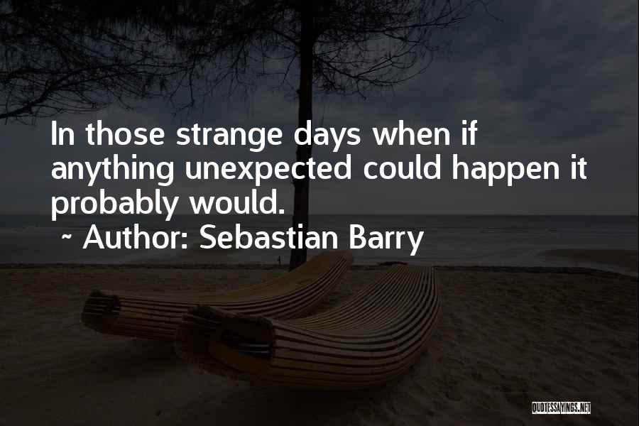 Anything Could Happen Quotes By Sebastian Barry