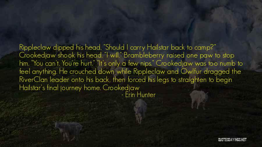 Anything Forced Quotes By Erin Hunter Anything Forced Quotes By Erin Hunter