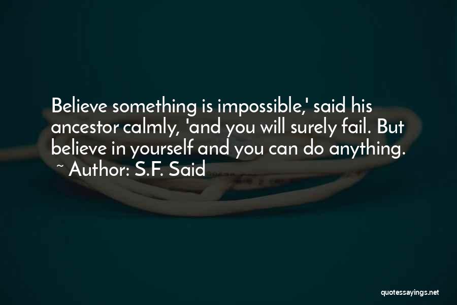 Anything Is Impossible Quotes By S.F. Said
