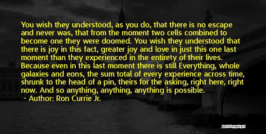 Anything Is Possible Quotes By Ron Currie Jr.