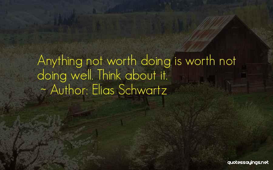 Anything Worth Doing Quotes By Elias Schwartz
