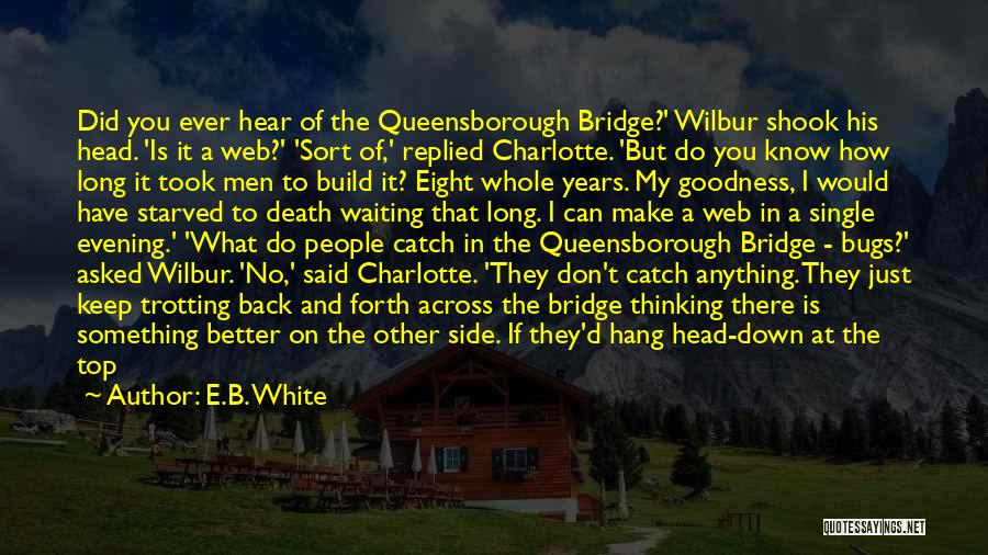 Anything You Can Do I Can Do Better Quotes By E.B. White