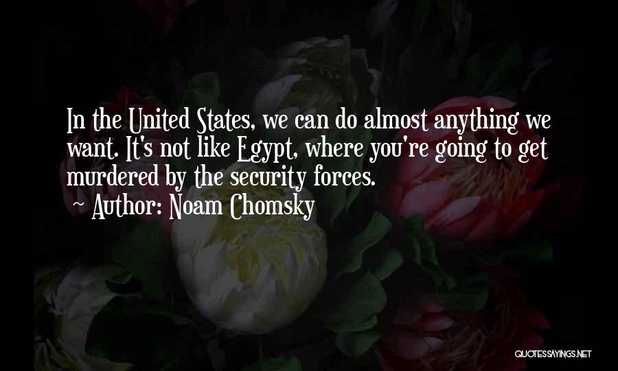 Anything You Can Do Quotes By Noam Chomsky