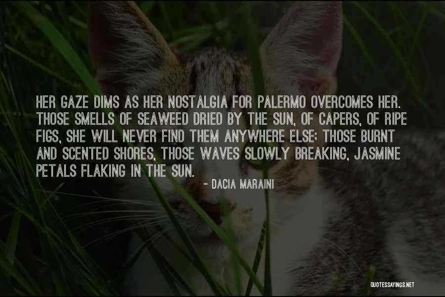 Anywhere In Quotes By Dacia Maraini Anywhere In Quotes By Dacia Maraini