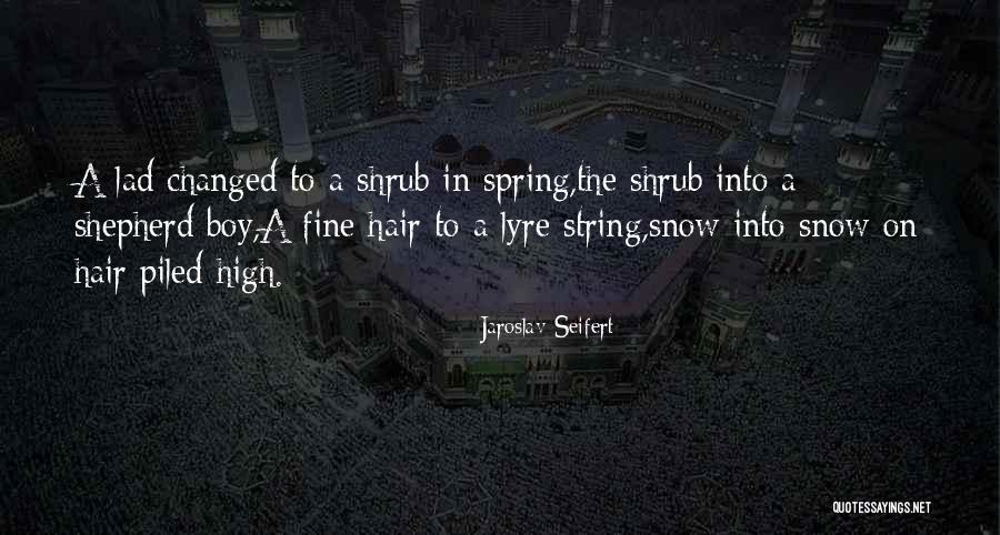 Anzelika Sergejeva Quotes By Jaroslav Seifert Anzelika Sergejeva Quotes By Jaroslav Seifert