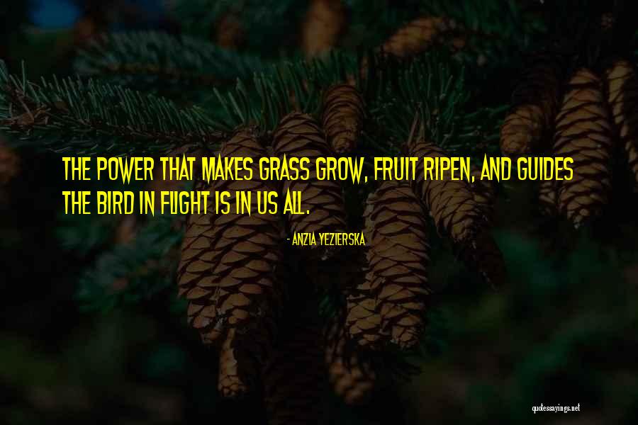 Anzia Yezierska Quotes 923446 Anzia Yezierska Quotes 923446
