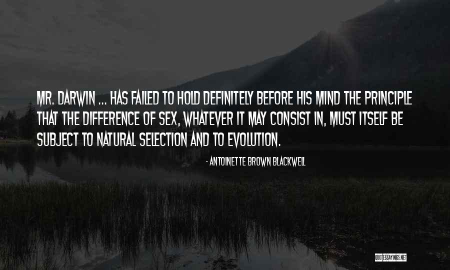 Ao Neville Quotes By Antoinette Brown Blackwell Ao Neville Quotes By Antoinette Brown Blackwell