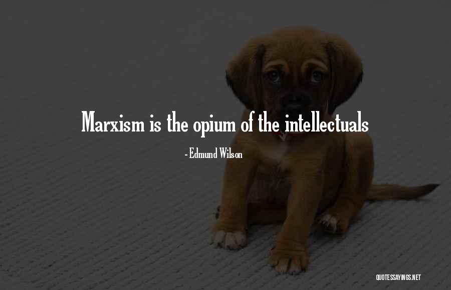 Aoibheall Quotes By Edmund Wilson Aoibheall Quotes By Edmund Wilson