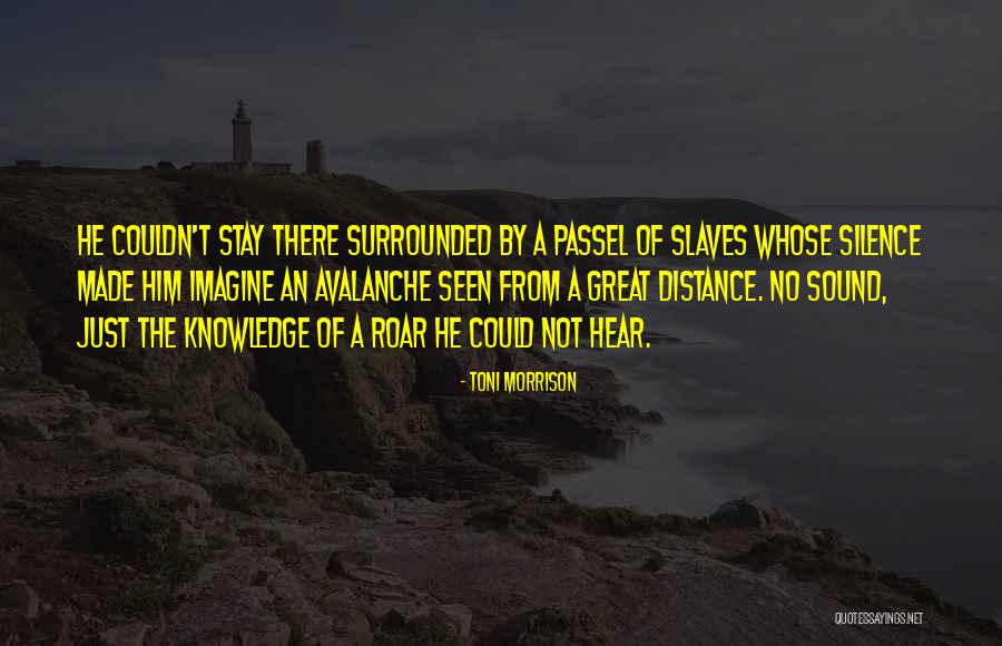 Aoibheann Quotes By Toni Morrison Aoibheann Quotes By Toni Morrison