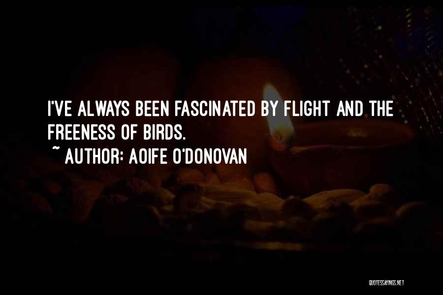 Aoife O'Donovan Quotes 351297