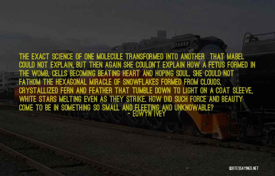 Aoude Energy Quotes By Eowyn Ivey Aoude Energy Quotes By Eowyn Ivey