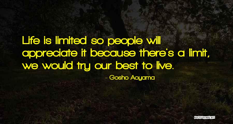 Aoyama Quotes By Gosho Aoyama Aoyama Quotes By Gosho Aoyama