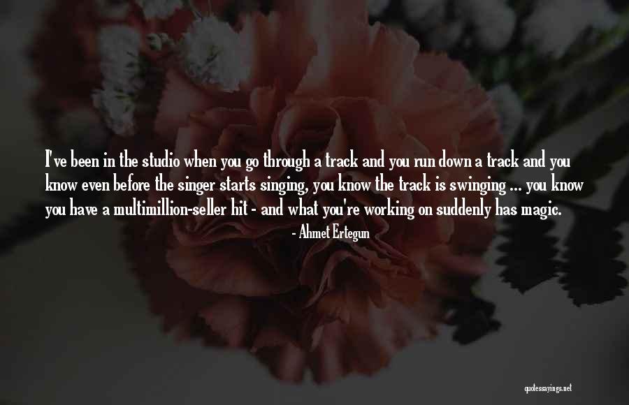 Apabullante Definicion Quotes By Ahmet Ertegun