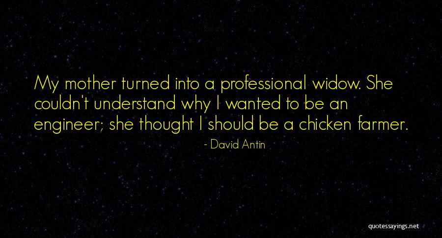 Apabullante Definicion Quotes By David Antin