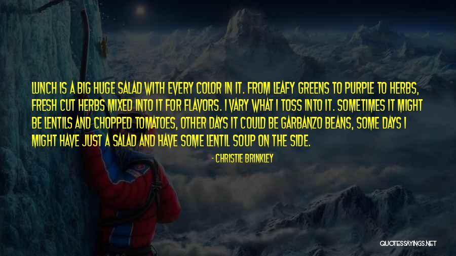 Apadravyas Quotes By Christie Brinkley Apadravyas Quotes By Christie Brinkley