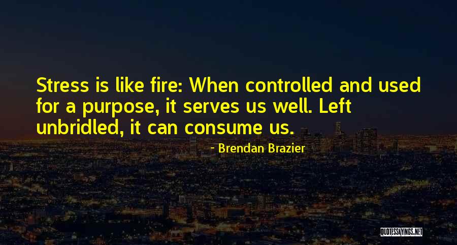 Apago Las Velas Quotes By Brendan Brazier Apago Las Velas Quotes By Brendan Brazier
