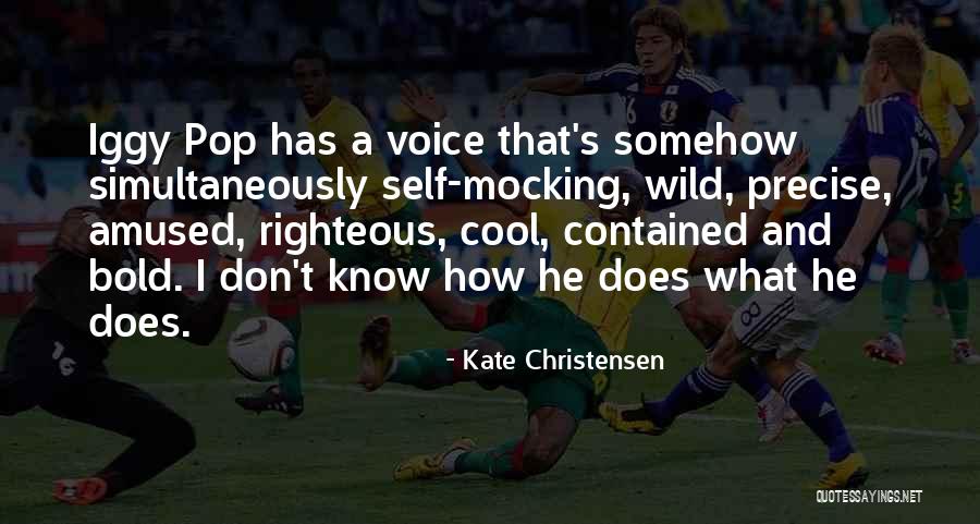 Aparatosas Quotes By Kate Christensen Aparatosas Quotes By Kate Christensen