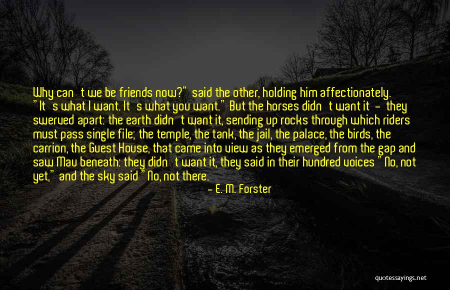 Apart Friends Quotes By E. M. Forster