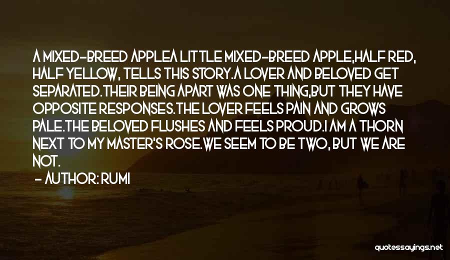 Apart Quotes By Rumi