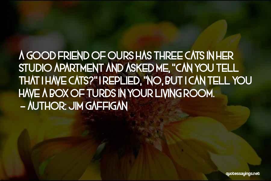 Apartment Living Quotes By Jim Gaffigan