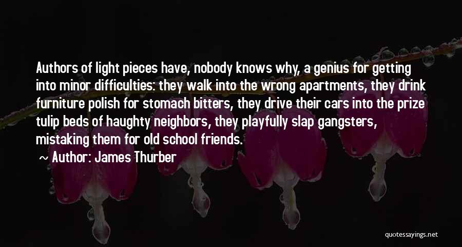 Apartments Quotes By James Thurber