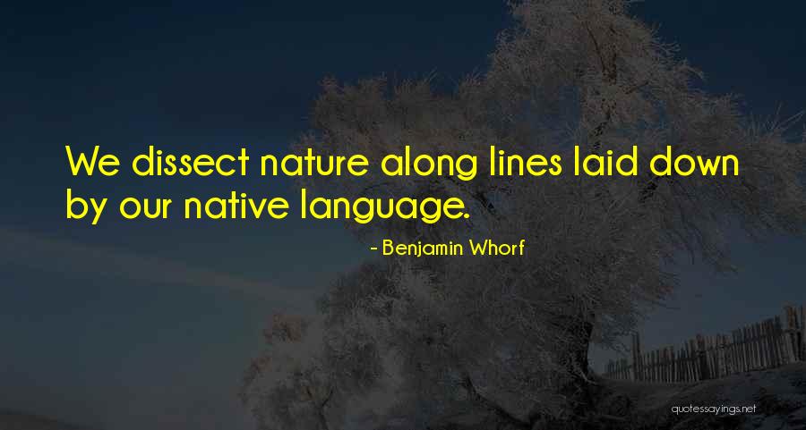 Apazal Quotes By Benjamin Whorf Apazal Quotes By Benjamin Whorf
