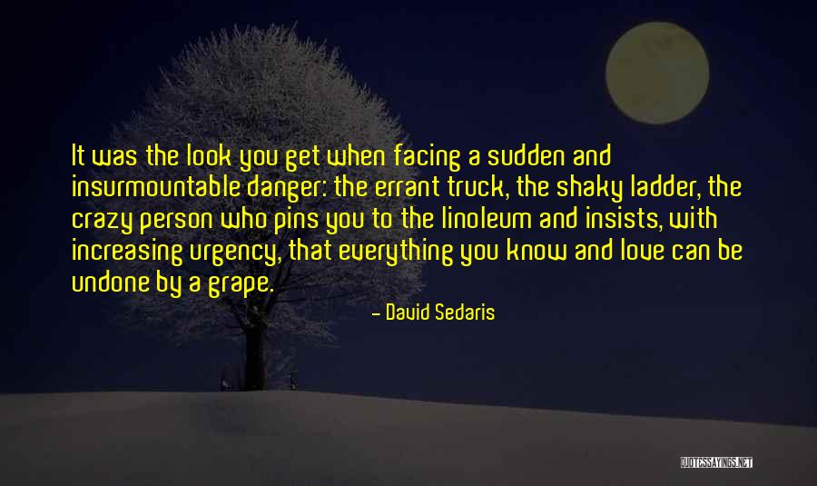 Apbn 2021 Quotes By David Sedaris Apbn 2021 Quotes By David Sedaris